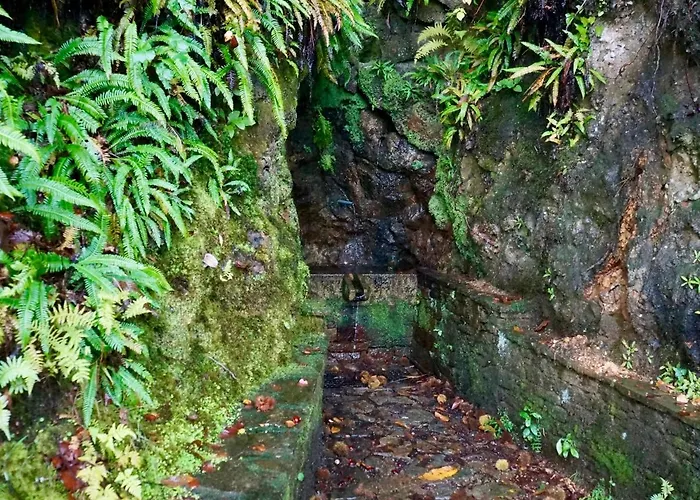 Semesterbostad Casa Asientos