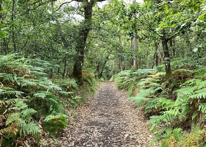 Casa Asientos Semesterbostad *